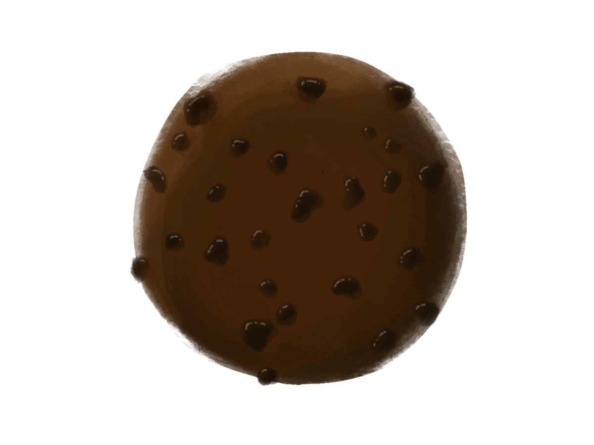 Hand-painted illustration of a dark double chocolate chunk cookie